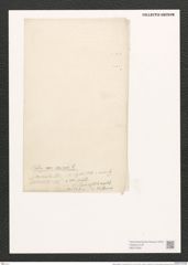 Nitzschia palea (= minuta) (Kuetz.) W. Sm. (de-Toni-Nr.: Genus 47, Species 2127) Zeichnungen Sammlung Grunow (NHMW-BOT-W0372262)